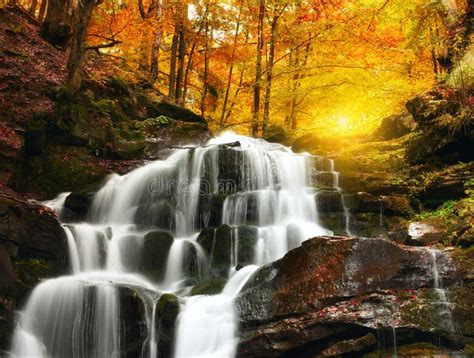 Waterfall Cascade In A Beautiful Deciduous Autumn Forest Bright Autumn