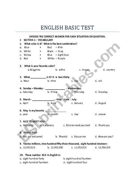 English Basic Test Esl Worksheet By Natysalda