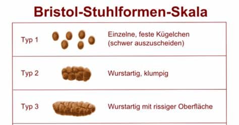Was sagt die farbe des kots über die gesundheit aus? Back in Shape - Ein (Paleo) Selbstversuch: Tag 29 ...