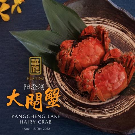 Orchard Hotel Yangcheng Lake Hairy Crab 1 November 2022 15 December 2022