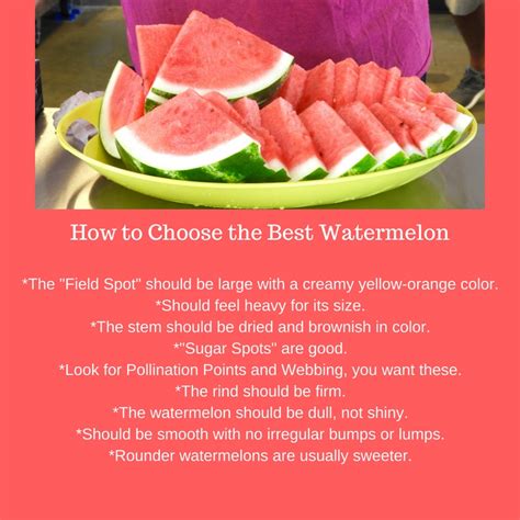 Foodie Friday What Do You Look For In A Watermelon Tips To Selecting