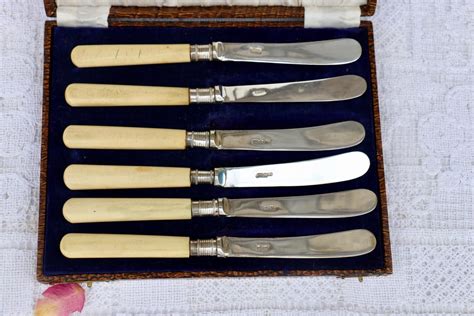 Set Of 6x Bone Handle Epns Vintage Butter Knives In Original Etsy