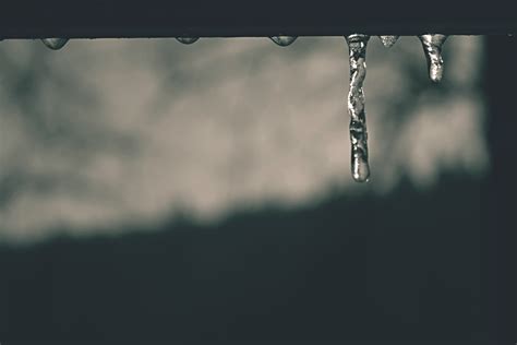 Free Images Water Branch Winter Light Cloud Black And White Sky