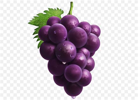 Grape Png 600x600px Grape Berry Food Fruit Grape Seed Extract