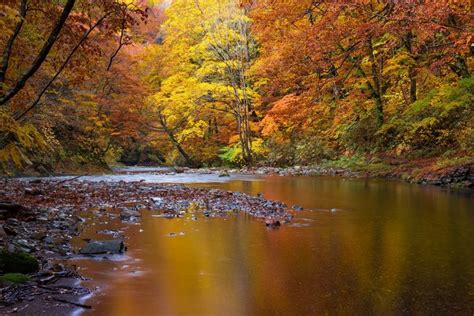 880548 Rivers Stones Autumn Scenery Trees Rare Gallery Hd Wallpapers