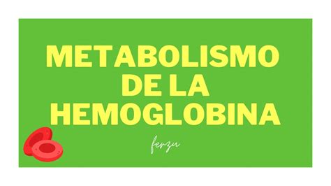 Metabolismo De La Hemoglobina Y Bilirrubina Youtube