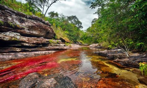 The River Of Five Colors In Colombia Kpopstarz