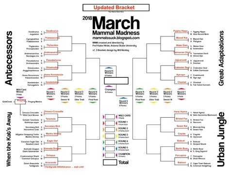 March Mammal Madness Fun Lessons From The First Round National