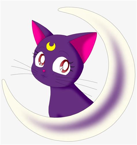 Cat From Sailor Moon Sailor Moon Cat Sailor Moon Aesthetic Pretty The