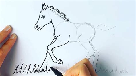 How To Draw The Cutest Horse Foal Youve Ever Seen Foals Cute Horses