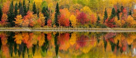 Panoramic Image Of Canadian Autumn Landscape Ontario World Panorama