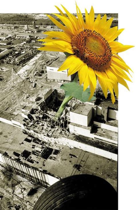The 2020 chernobyl exclusion zone wildfires were a series of wildfires that began burning inside ukraine's chernobyl exclusion zone in april 2020. 방사능보다 강한 '자연의 힘' - Chosunbiz > 테크 > 과학/바이오