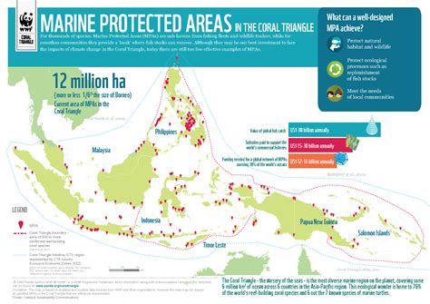 Infographic Marine Protected Areas In The Coral Triangle Wwf