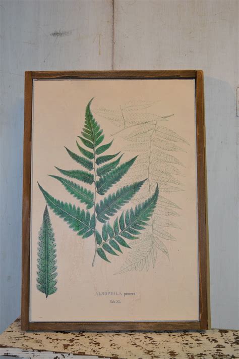 Shop for fern wall art from the world's greatest living artists. Botanical Wood Framed Fern Wall Art | Shop Home Decor ...