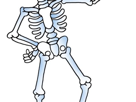 A skeletal hand and arm that could be used for medical concepts. Skeleton Arm Drawing | Free download on ClipArtMag