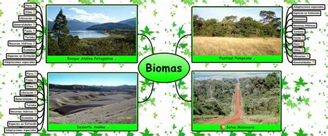 Tipos De Biomas Terrestres Caracteristicas Ejemplos Y Fotos Images Hot Sex Picture