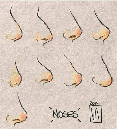 Learn Different Noses Nose Drawing Drawing Poses Drawing Tips