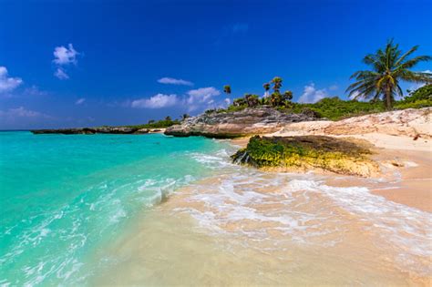 Beach At Caribbean Sea In Playa Del Carmen Stock Photo Download Image