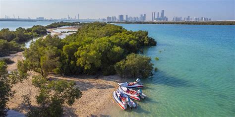 Mangrove National Park Abu Dhabi Abu Dhabi Book Tickets And Tours