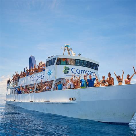 Compass Cruises Cairns All You Need To Know Before You Go