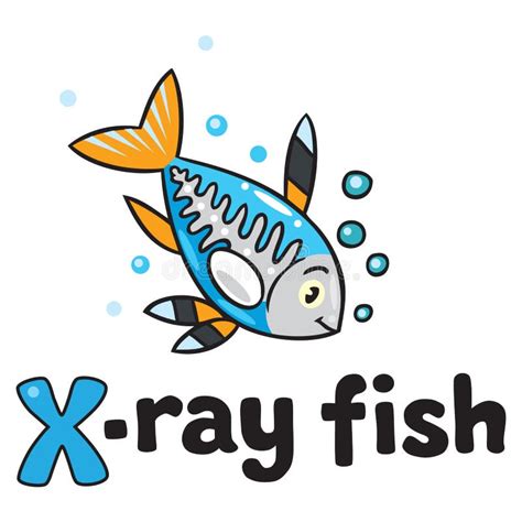 X Ray Fish For Abc Alphabet X Stock Vector Illustration Of Fish