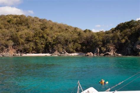 Turtle Cove Is Over Snorkeled Island Time Tours Private Tours St