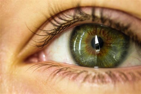 Что Означает Глаза Карие Зеленые Фото — Картинки фотографии