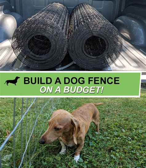 How To Build A Dog Fence In A Day And On A Small Budget Theres