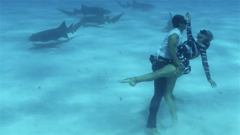 Dancing With Sharks Shark Couple Ocean Ramsey And Juansharks Youtube