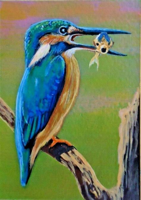 Kingfisher Bird Drawing At Explore Collection Of