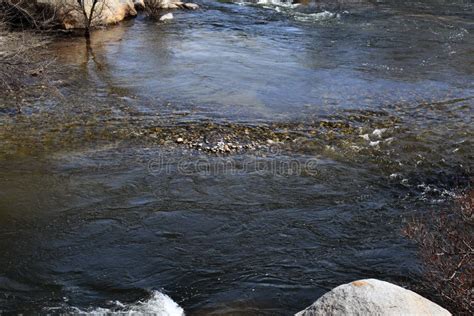 Slow Moving Water In A River Stock Image Image Of Water Distilled