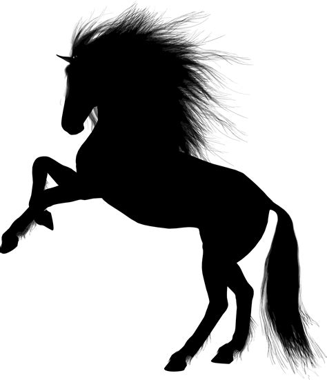 Rearing Horse Silhouette Images 67 Ideas De Siluetas De Caballos