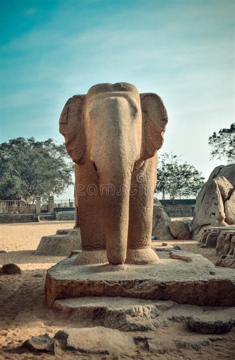 Monolithic Elephant Statue In Pancha Rathas Complex At Mahabalipuram