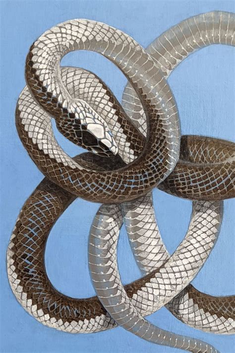 Meditative Snake Acrylic Painting Process Snake Painting Art