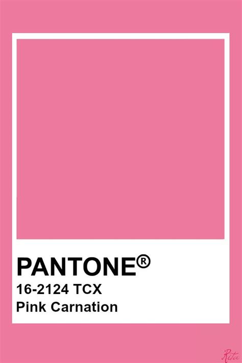 Pantone Pink Carnation Pantone Colour Palettes Pantone Pink Pantone