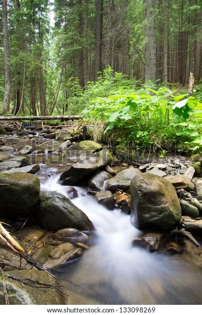 Cascades On Clear Creek Forest Stock Photo 133098269 Shutterstock