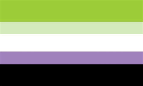 I Saw Someone Asking For A Non Binary Aromantic Flag Awhile Back But I