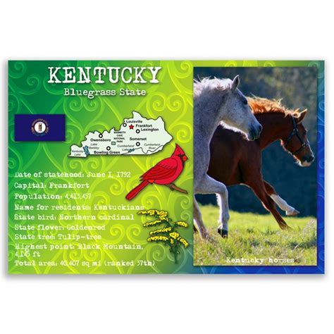 Kentucky State Facts Postcard