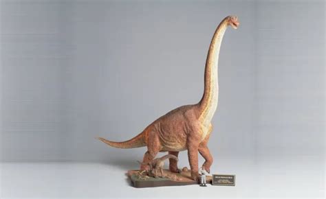Tamiya Brachiosaurus Diorama Set Model Kit Model Universe My Xxx Hot Girl