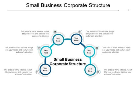 Small Business Corporate Structure Ppt Powerpoint Presentation