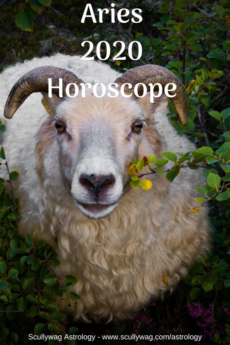 Aries 2020 Horoscope Scullywag Astrology Astrology Horoscope