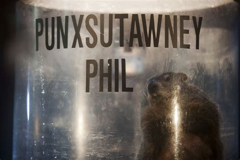In danny boyle's 28 days later, the humans are as deadly as the zombies. 'Groundhog Day' Movie: Where To Watch Online; TV Schedule ...