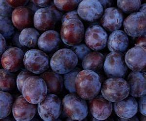 These are the types of fruit trees that grow best in texas. The Best Fruit Trees to Grow in Central Texas | Seasons ...