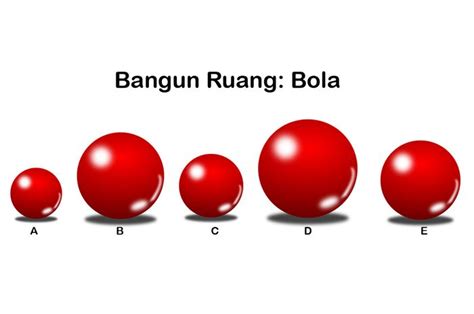 Pada gambar tersebut terdapat 5 rantai makanan yang saling berhubungan. Contoh Gambar Bangun Ruang Bola dan Cara Mengurutkannya ...