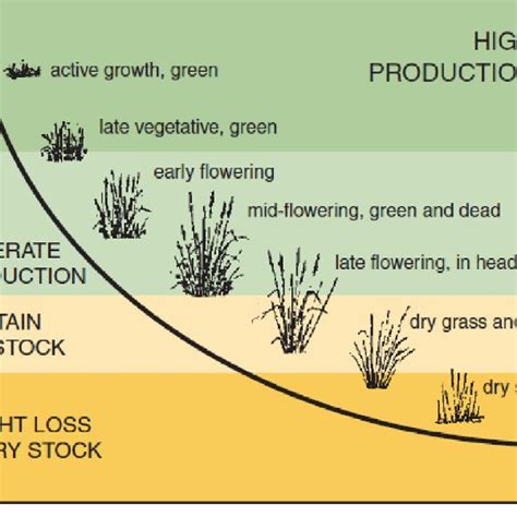 Phases Of Pasture Growth Showing Typical Changes In Digestibility And