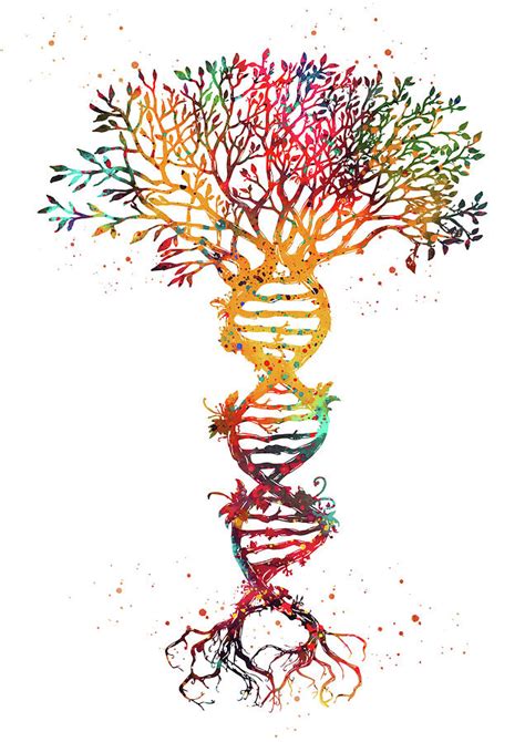 How do i draw a family history genomics education programme. Dna Tree Digital Art by Erzebet S