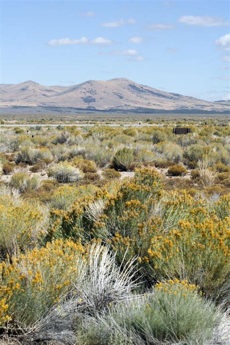 Nevada Desert Scenic Stock Image Image Of American Outside 18381377