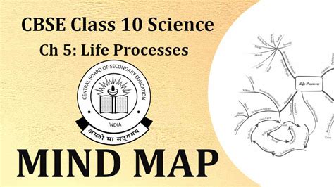 Cbse Class Chapter Science Mind Map Life Processes Mind Map For Superfast And