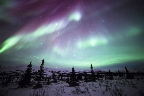 Americas Great Outdoors Amazing Shot Of The Northern Lights Dancing