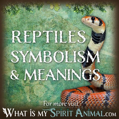 Amphibians & Reptiles Symbolism & Meaning | Spirit, Totem, & Power Animal
